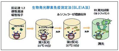 生物発光酵素免疫測定法（BLEIA法）
