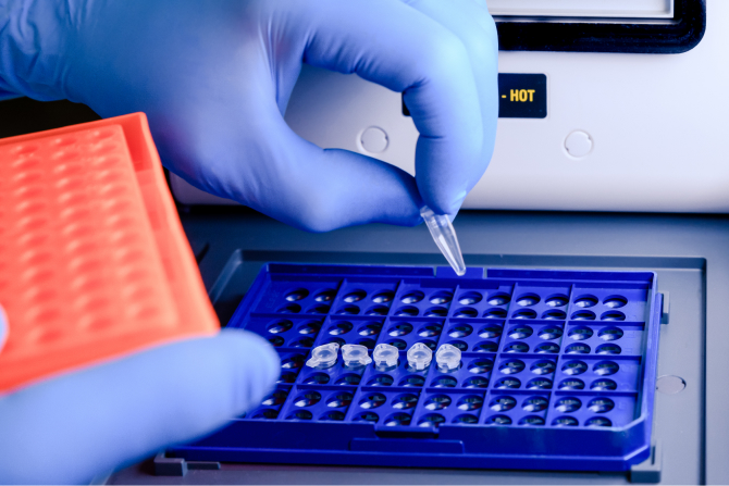 新型コロナウイルス<br>PCR検査