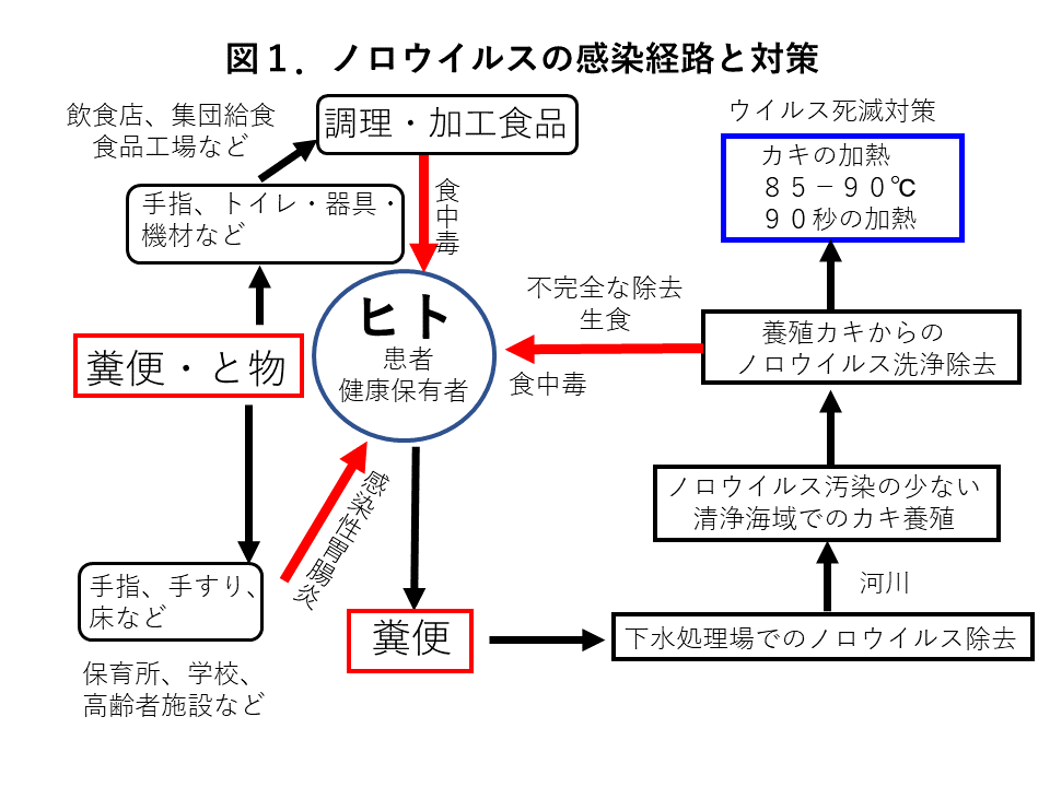 図1. ノロウイルスの感染経路と対策