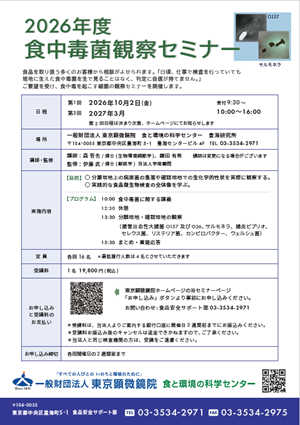 チラシ
