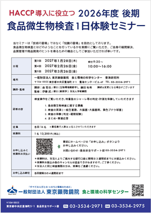 チラシ